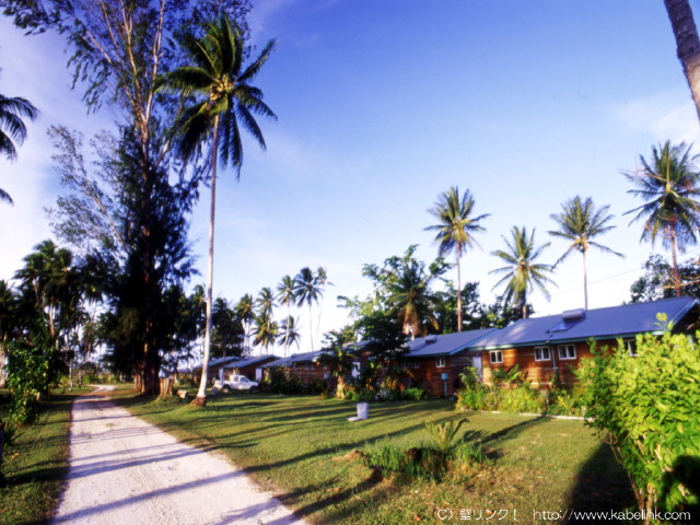 img0039.jpg