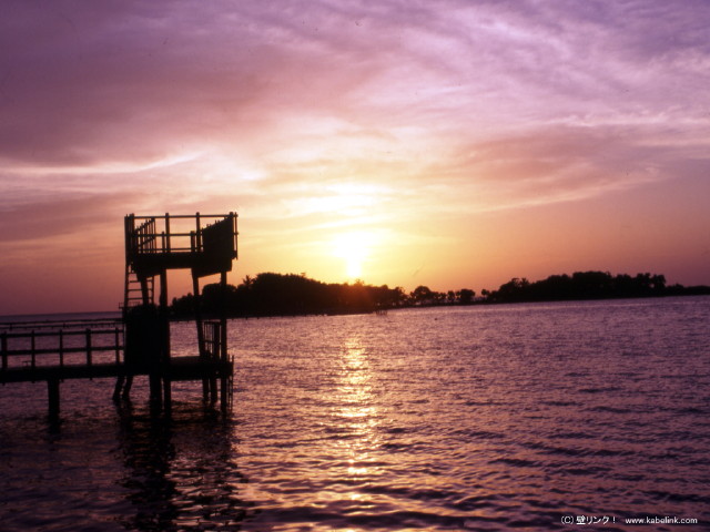 img0040.jpg