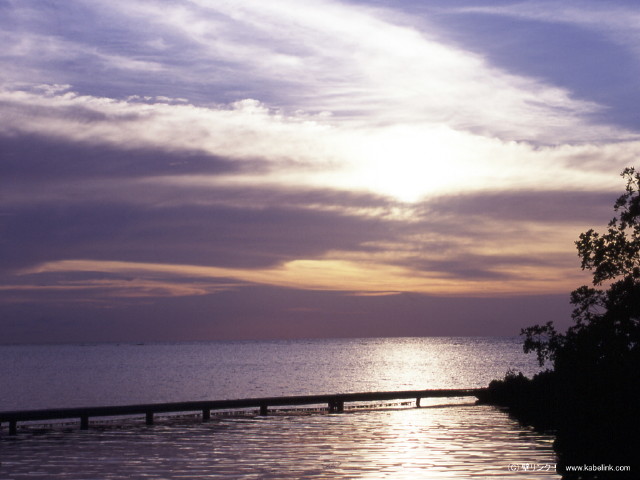 img0041.jpg