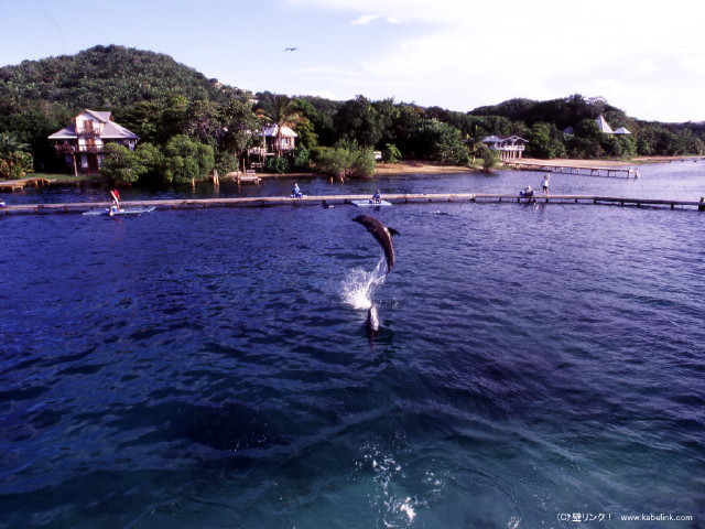 img0042.jpg