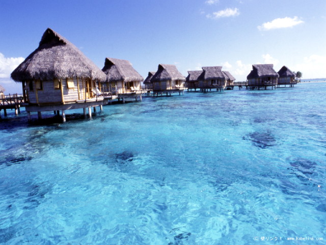 img0046.jpg