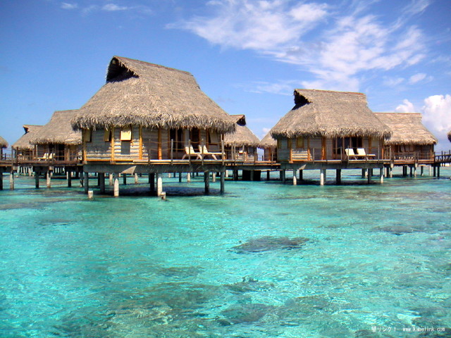 img0050.jpg