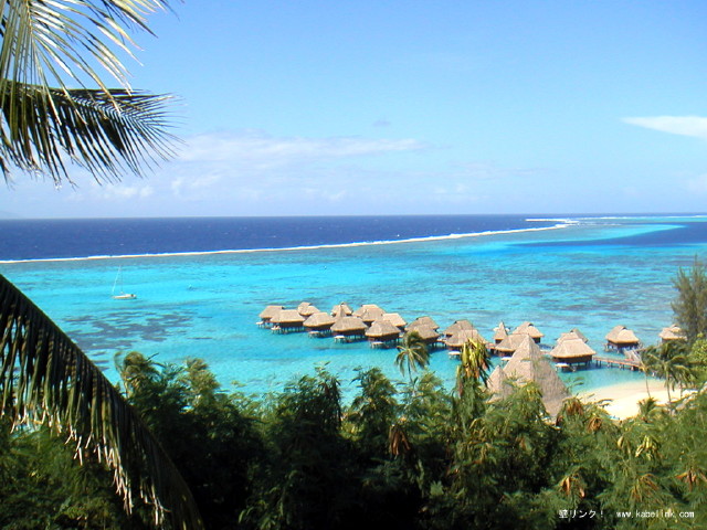 img0051.jpg