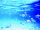 img0021.jpg