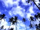 img0030.jpg