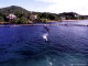 img0042.jpg