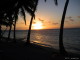 img0049.jpg