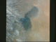 img0017.jpg