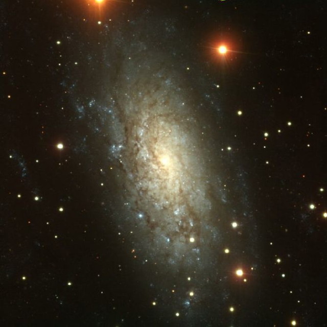 img0014.jpg