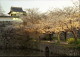 img0018.jpg