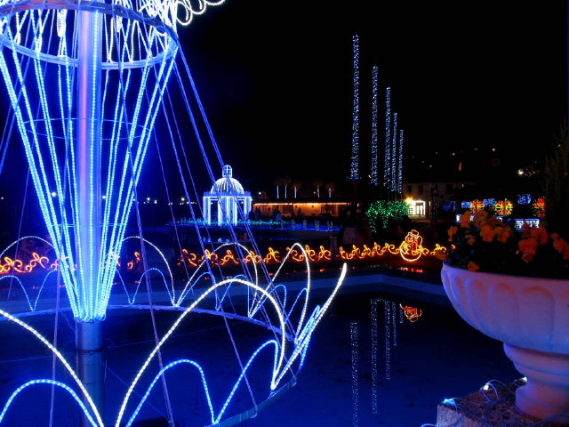 img0019.jpg