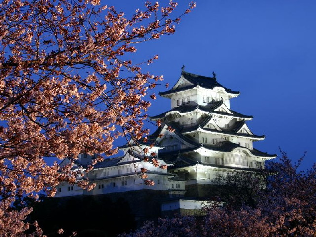 img0050.jpg