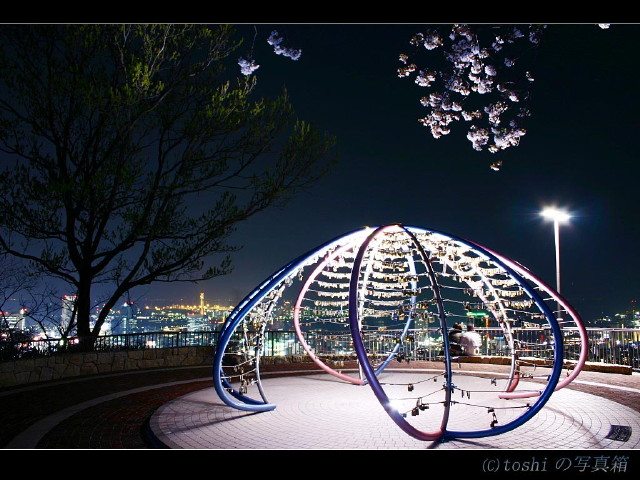 img0056.jpg