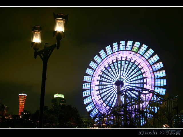 img0059.jpg