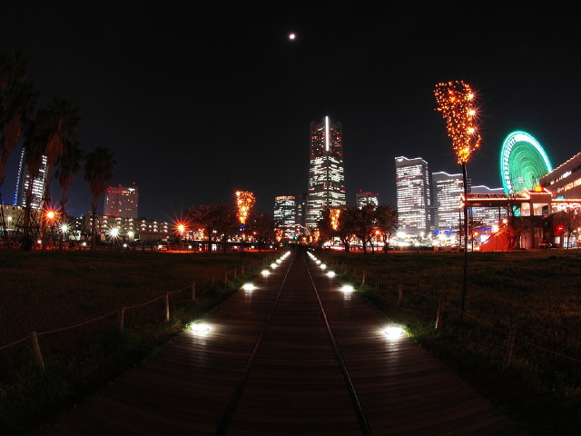 img0030.jpg