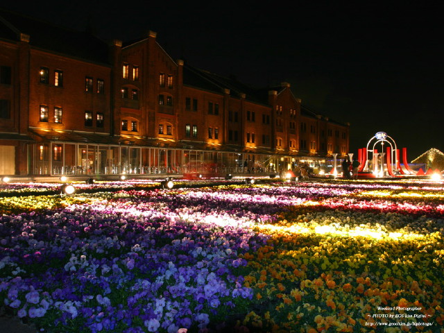 img0040.jpg
