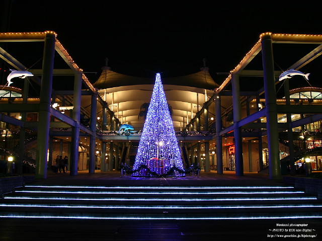 img0042.jpg