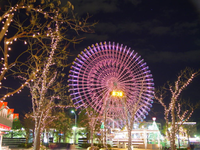 img0110.jpg