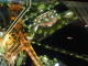 img0060.jpg