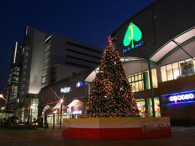 img0011.jpg