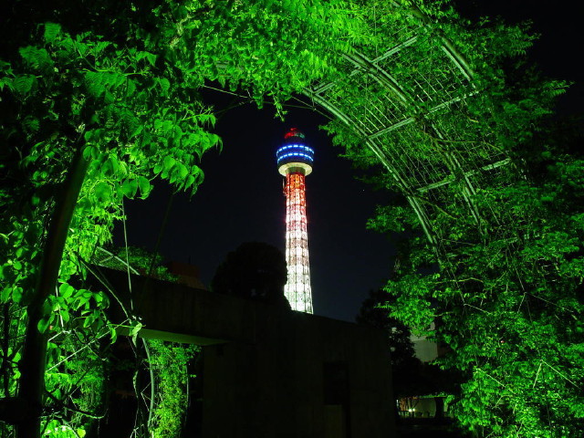 img0023.jpg