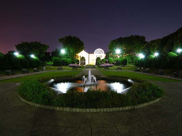 img0029.jpg