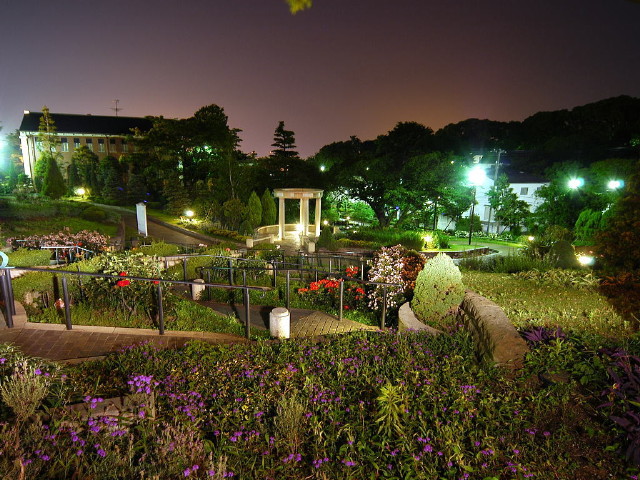 img0032.jpg
