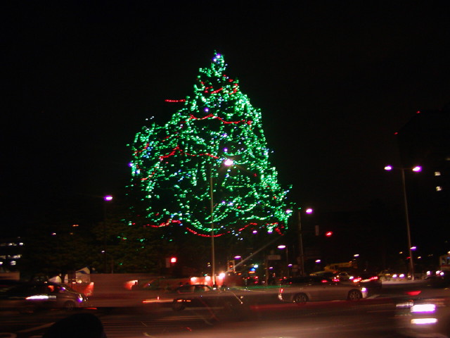 img0007.jpg