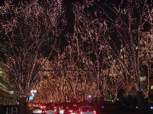img0008.jpg