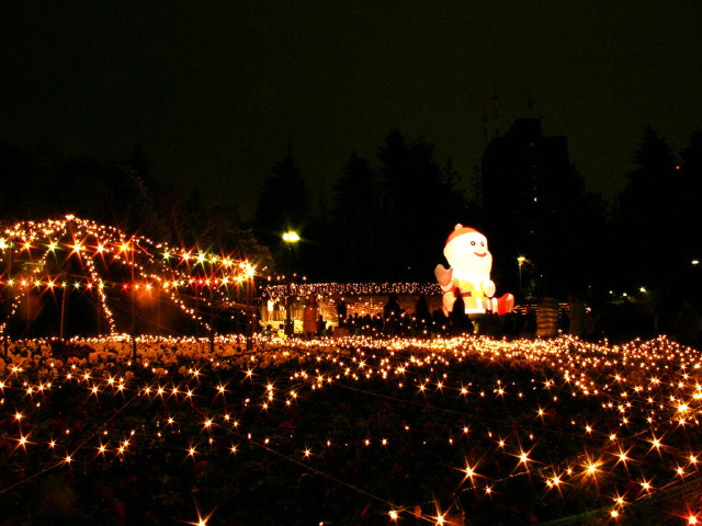 img0011.jpg