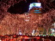 img0002.jpg