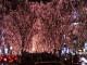 img0004.jpg