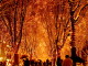 img0009.jpg