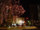 img0022.jpg