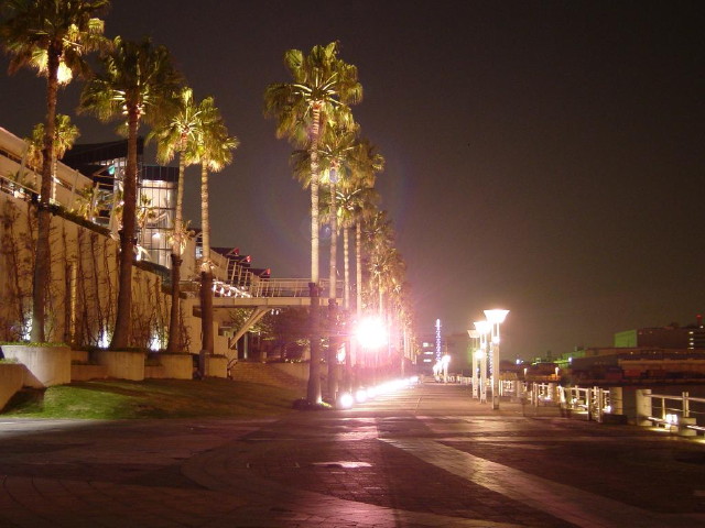 img0016.jpg