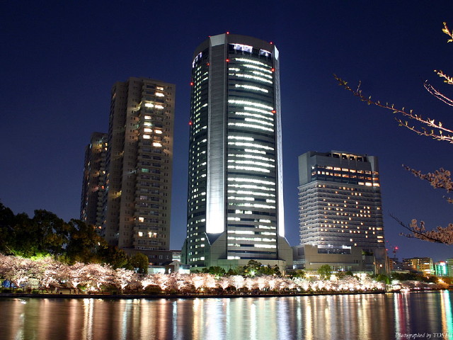 img0061.jpg