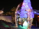 img0029.jpg