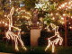 img0036.jpg