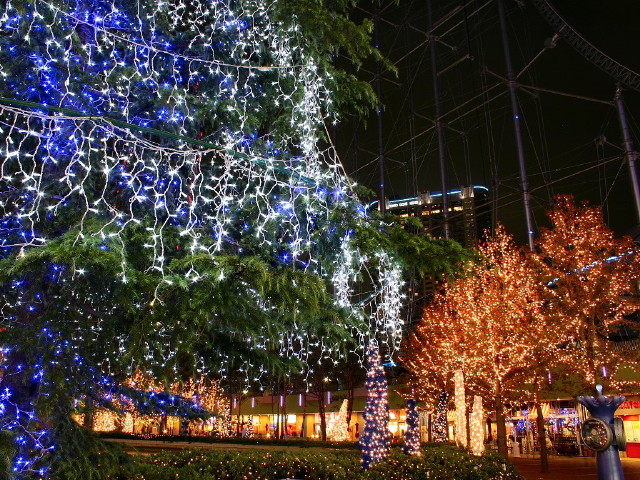 img0003.jpg