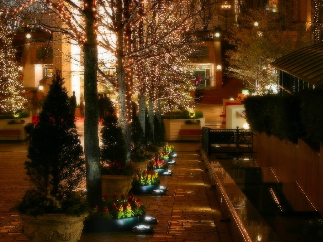 img0006.jpg