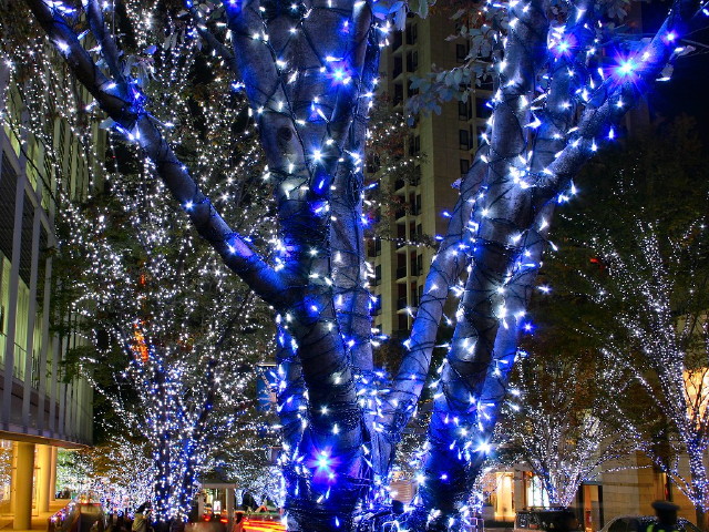 img0020.jpg