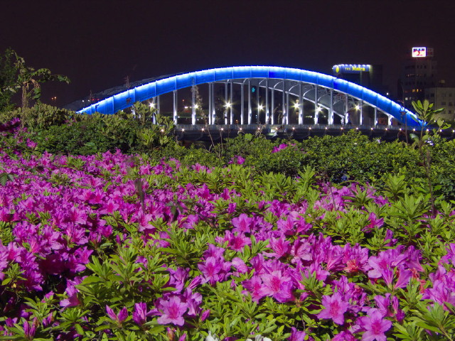 img0027.jpg