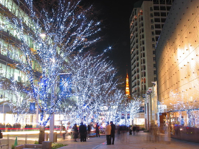 img0051.jpg