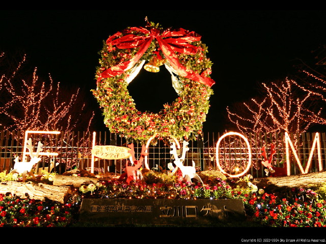 img0055.jpg