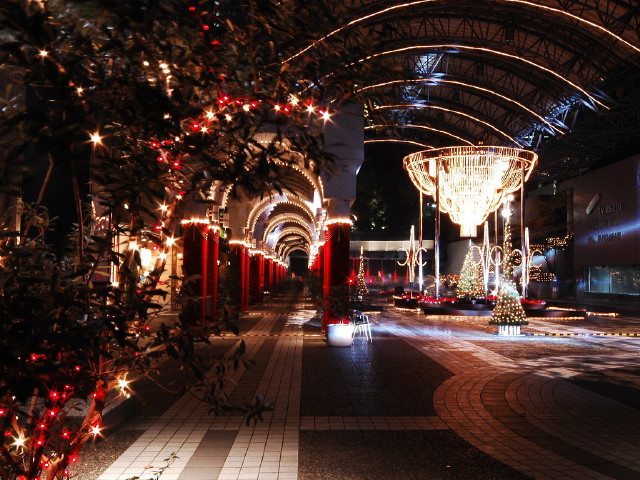 img0088.jpg