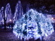img0070.jpg