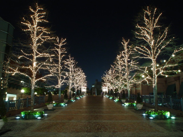 img0020.jpg
