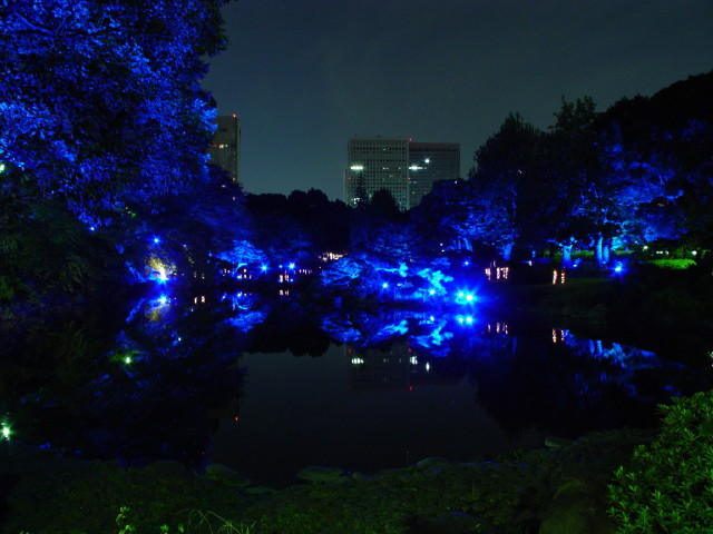 img0033.jpg