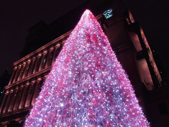 img0041.jpg