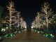 img0020.jpg